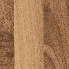 F26_024 Bild vergrößern F26_024 Bild vergrößern