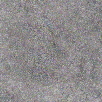 FR418 Bild vergrößern FR418 Bild vergrößern