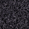 Labrador_1 Bild vergrößern Labrador_1 Bild vergrößern